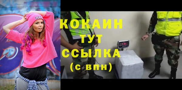 ПСИЛОЦИБИНОВЫЕ ГРИБЫ Белокуриха
