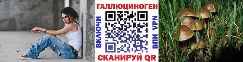 Купить где Бахчисарай Галлюциногенные грибы Psilocybe